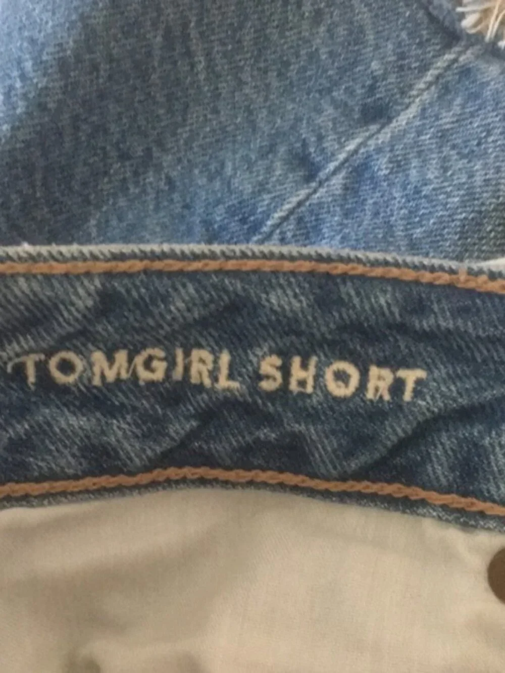 American Eagle Tomgirl Short Distressed Jean Shorts